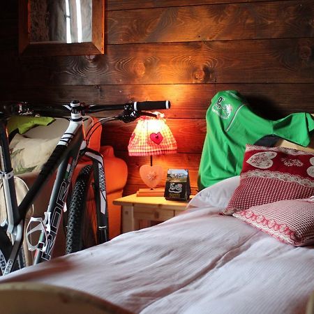 Eirl Dolomites Retreat Sappada住宿加早餐旅馆 外观 照片