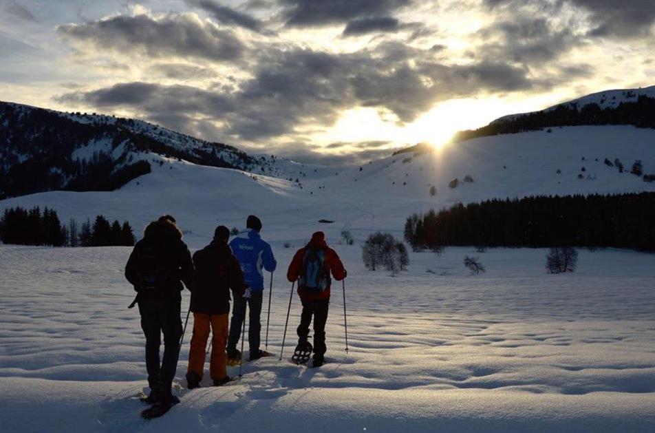Eirl Dolomites Retreat Sappada住宿加早餐旅馆 外观 照片