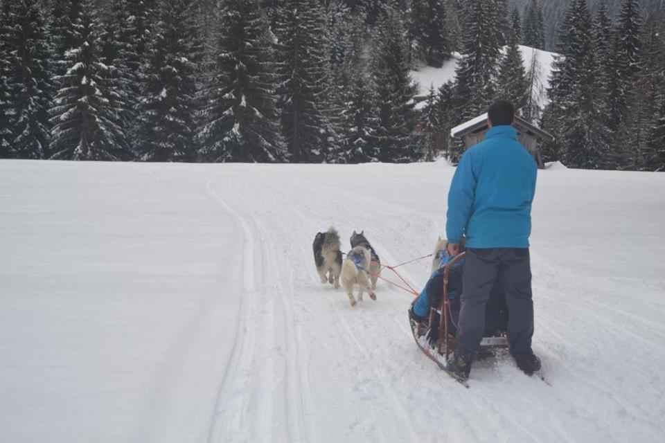 Eirl Dolomites Retreat Sappada住宿加早餐旅馆 外观 照片