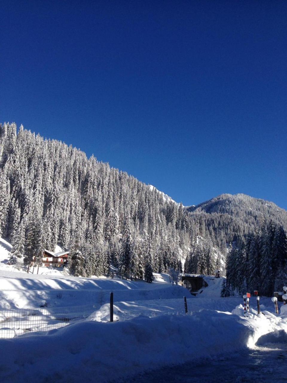 Eirl Dolomites Retreat Sappada住宿加早餐旅馆 外观 照片